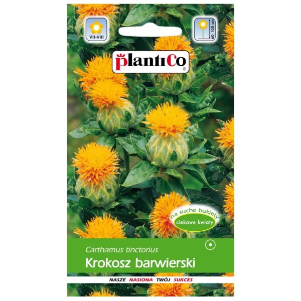 Krokosz barwierski nasiona 0