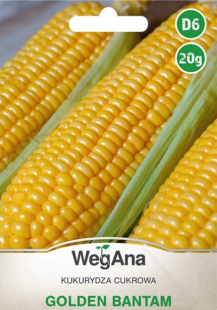 Kukurydza cukrowa Golden Bantam 20g - WegAna