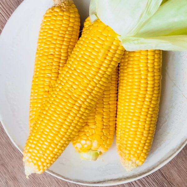 Kukurydza cukrowa Gucio F1 nasiona 10g - Sp&oacute;jnia