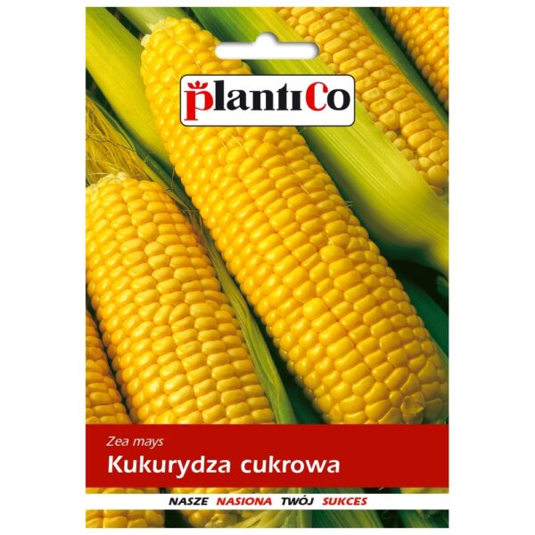 Kukurydza cukrowa nasiona 10g - PlantiCo