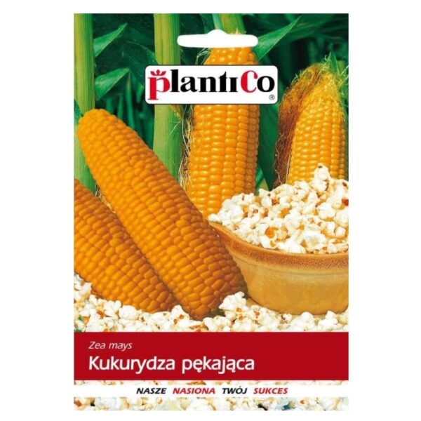 Kukurydza pękająca Jantar 10g - Plantico