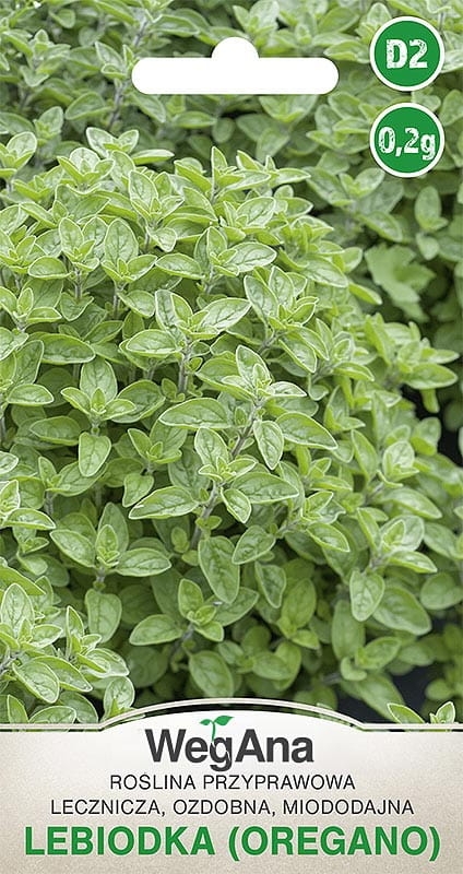Lebiodka Oregano 0