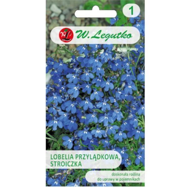 Lobelia przylądkowa Stroiczka niebieska nasiona 0