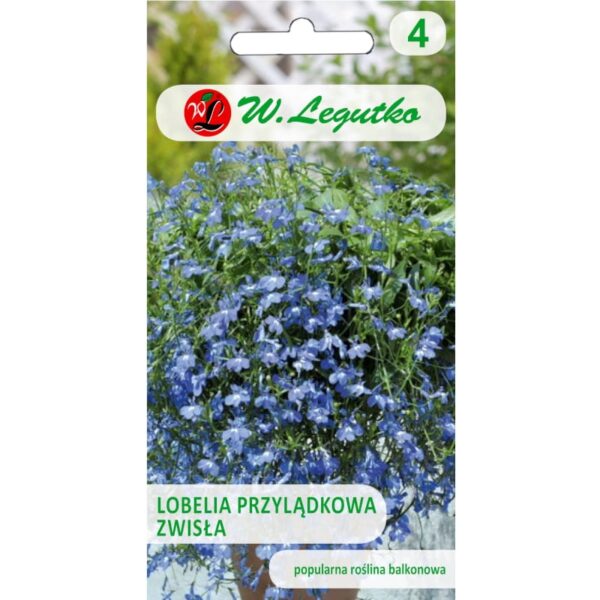 Lobelia przylądkowa zwisła niebieska nasiona 0