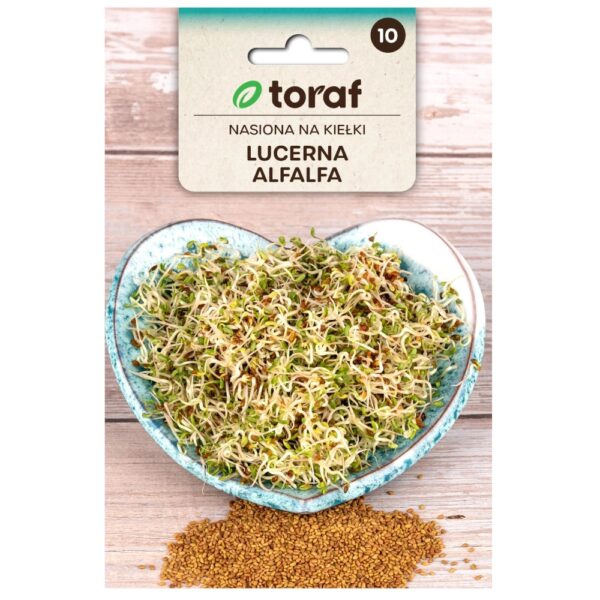 Lucerna Alfalfa nasiona na kiełki 20g - TORAF