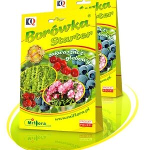 MIFLORA Borówka Starter 0