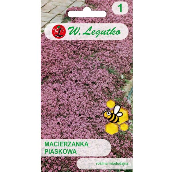 Macierzanka piaskowa lilar&oacute;żowa nasiona 0