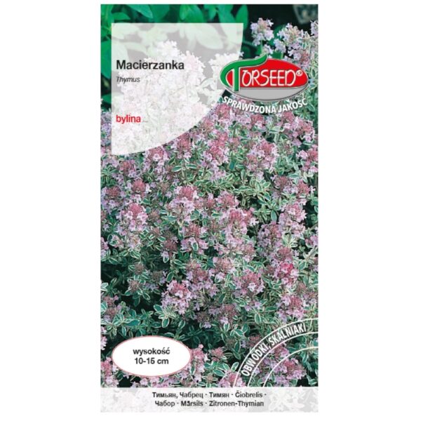 Macierzanka purpurowa nasiona 0