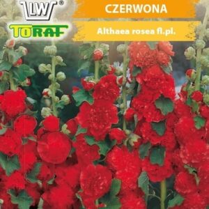Malwa ogrodowa czerwona 0