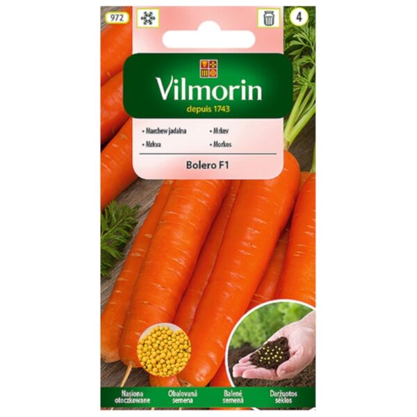 Marchew Bolero F1 nasiona otoczkowane 400 szt. - VILMORIN