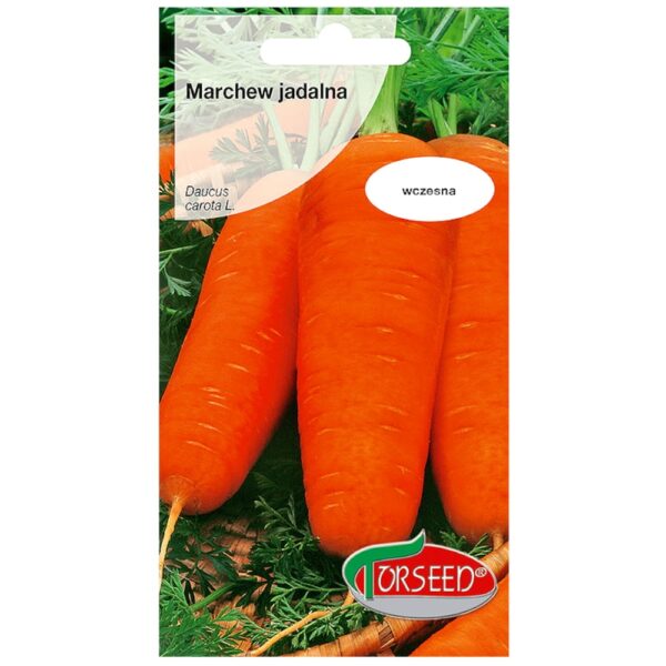 Marchew Chantenay nasiona 5g - TORSEED