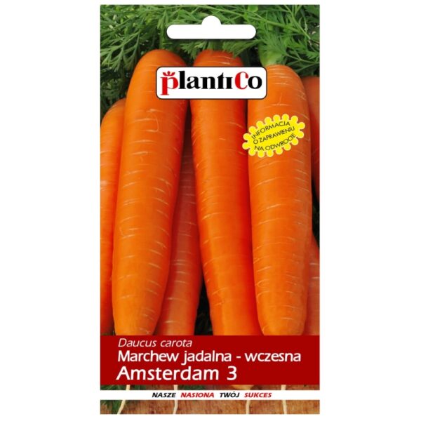 Marchew jadalna Amsterdam 3 nasiona 5g - PlantiCo