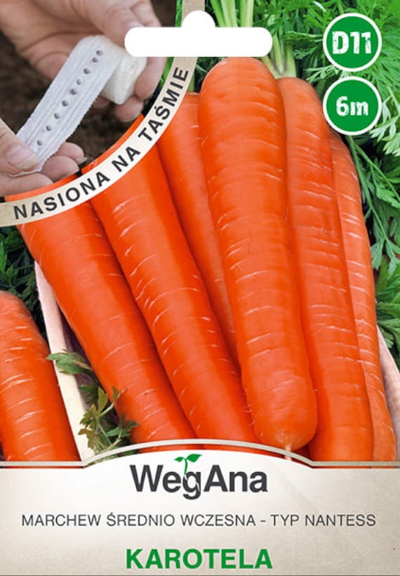 Marchew jadalna Karotela nasiona na taśmie 6 m - WegAna