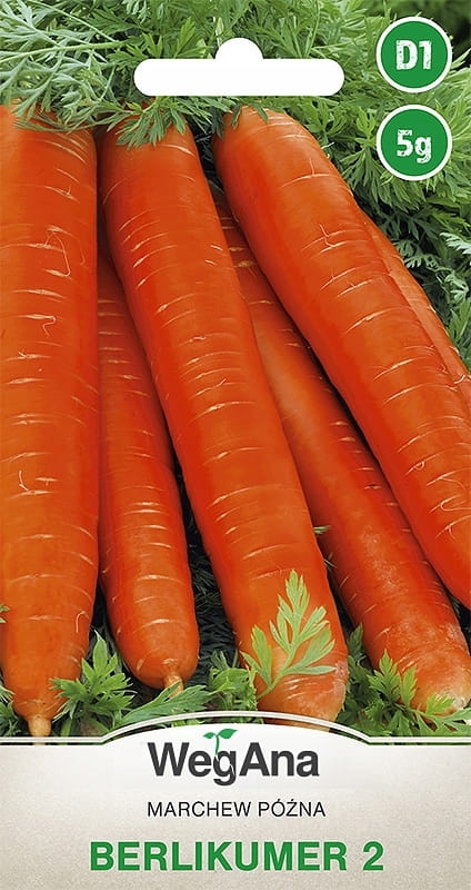 Marchew p&oacute;źna Berlikumer 2 5g - WegAna