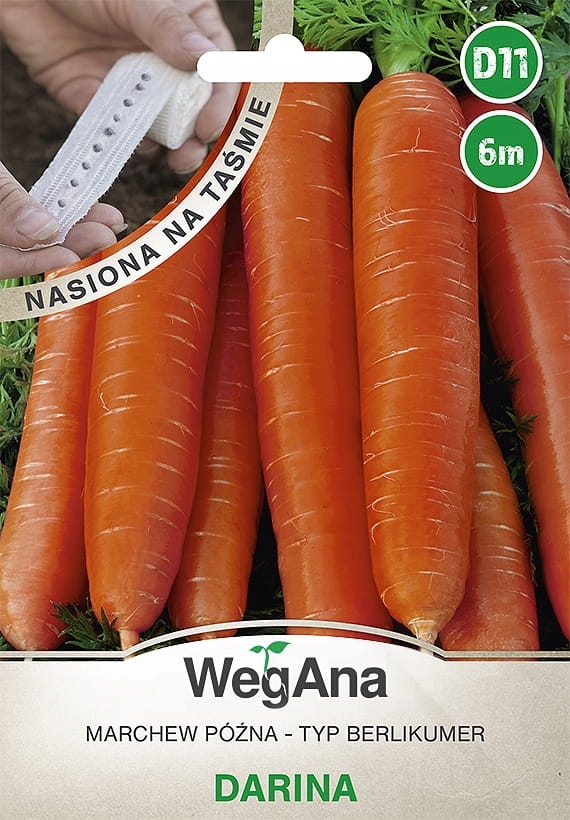 Marchew p&oacute;źna Darina nasiona na taśmie 6 m - WegAna