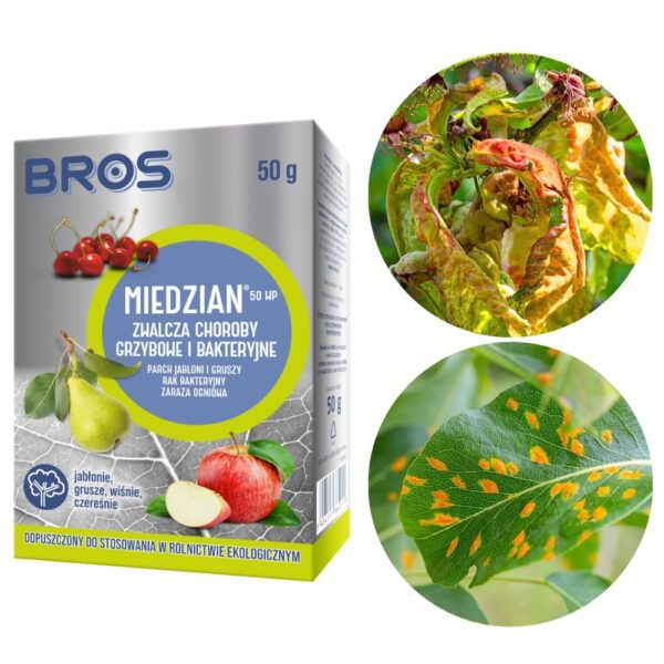 Miedzian 50WP na choroby grzybowe i bakteryjne 100g - Bros