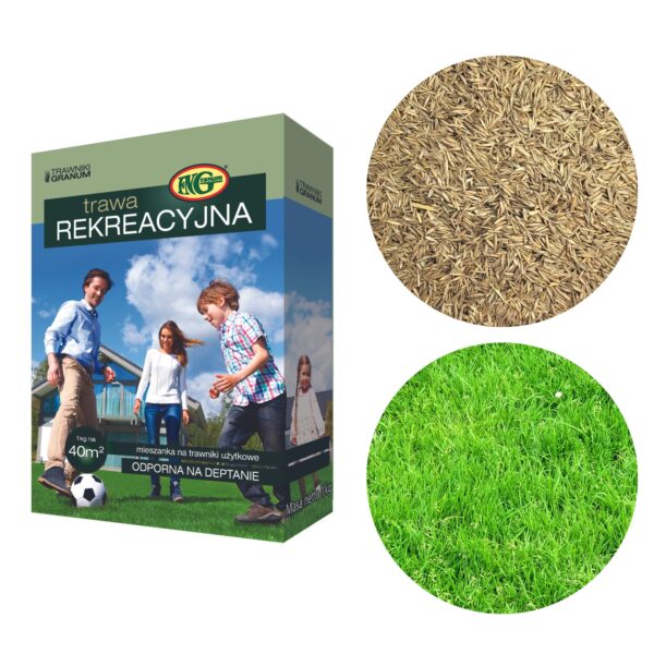 Mieszanka nasiona Trawy Kwalifikowana Rekreacyjna 1 kg - FN Granum