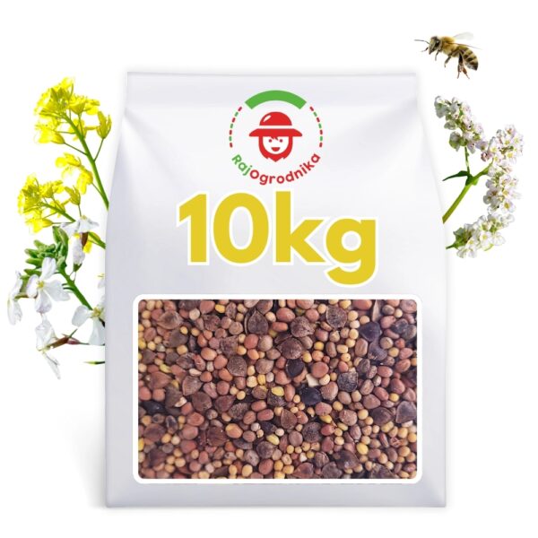 Mieszanka poplonowa og&oacute;lnoużytkowa szybkorosnąca MP-1 nasiona 10kg
