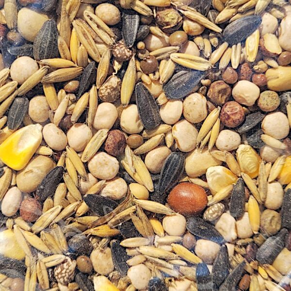 Mieszanka poplonowa strączkowo-paszowa MIX - 7 nasiona 1kg