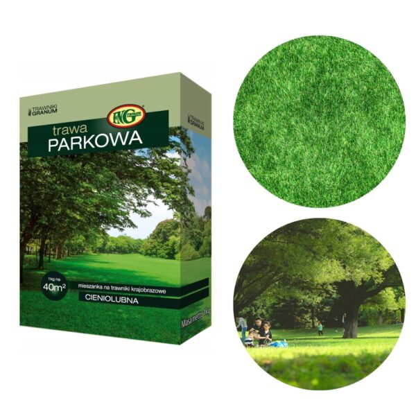 Mieszanka traw cieniolubna Parkowa 1 kg - FN Granum