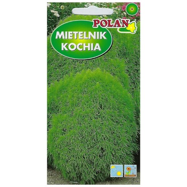 Mietelnik kochia nasiona 3g - POLAN