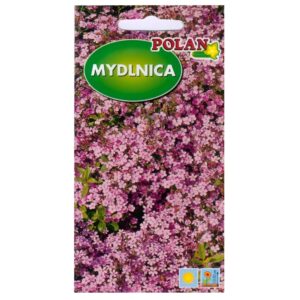 Mydlnica bazyliowata różowa nasiona 1g - POLAN