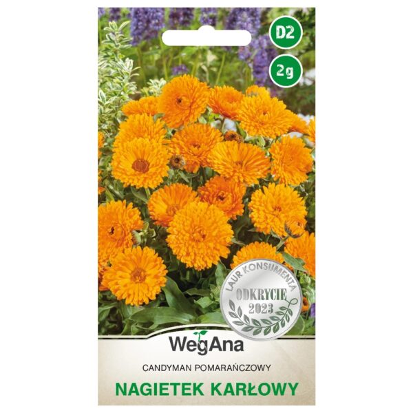 Nagietek karłowy Candyman pomarańczowy nasiona 2g - WegAna