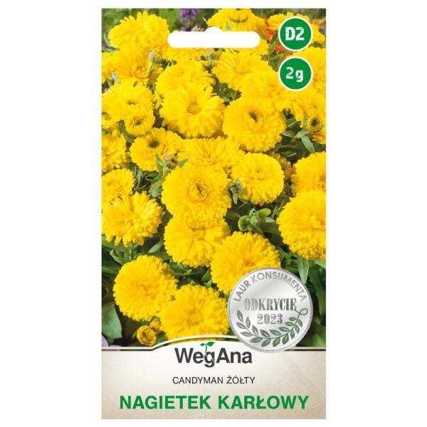 Nagietek karłowy Candyman ż&oacute;łty nasiona 2g - WegAna
