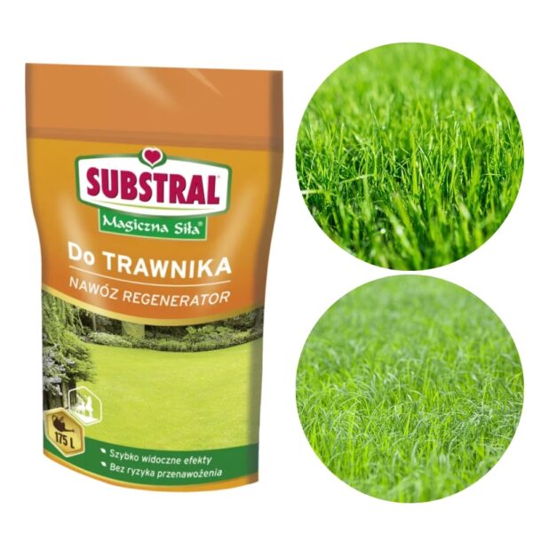 Naw&oacute;z Magiczna Siła do trawnika Regenerator 350g - Substral