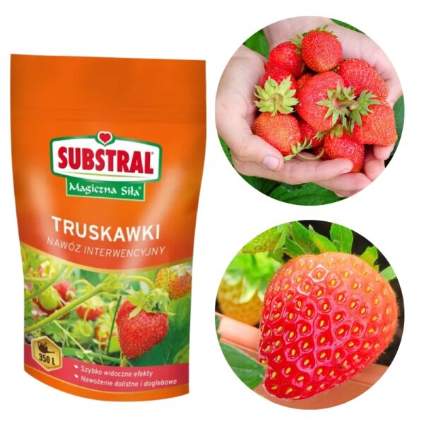 Naw&oacute;z Magiczna Siła do truskawek 350g - Substral