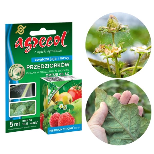 Nissorun Strong 250 SC zwalcza jaj i larwy przędziork&oacute;w 5 ml - Agrecol