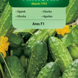 Ogórek Ares F1 3g - VILMORIN