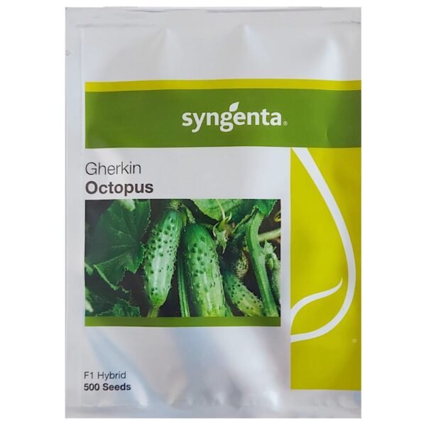 Og&oacute;rek Octopus F1nasiona 500 szt. - Syngenta
