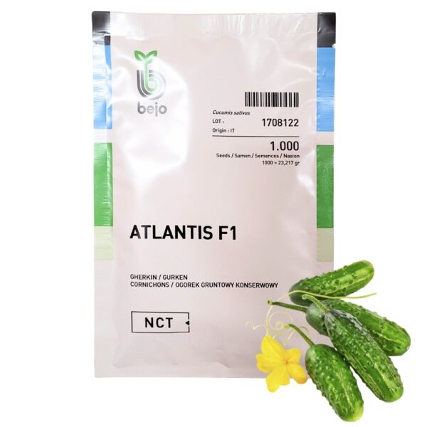 Og&oacute;rek gruntowy Atlantis F1 nasiona 1000 szt. - BEJO