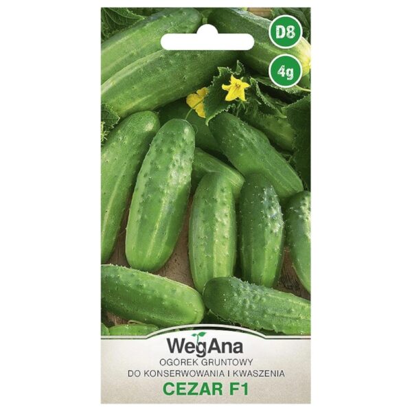 Og&oacute;rek gruntowy Cezar F1 nasiona 4g - WegAna