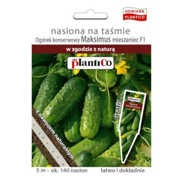 Og&oacute;rek gruntowy Maksimus nasiona na taśmie 5m - Plantico