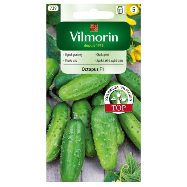 Og&oacute;rek gruntowy Octopus F1 nasiona 1