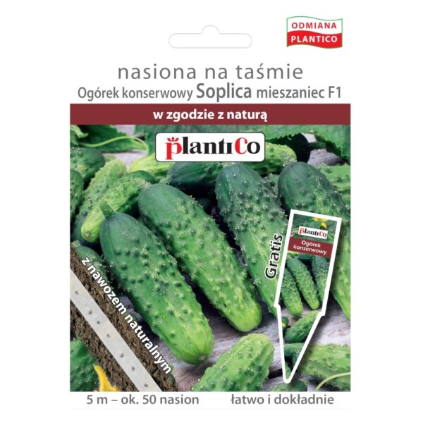 Og&oacute;rek gruntowy Soplica nasiona na taśmie 5m - Plantico