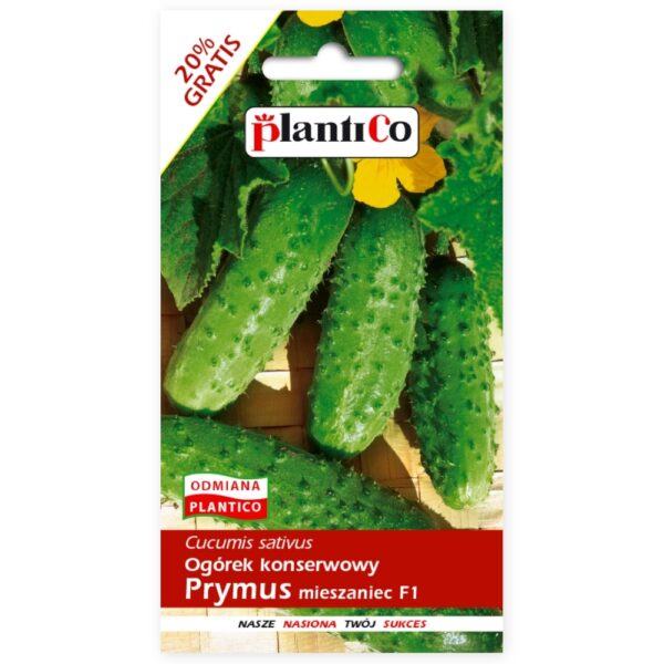 Og&oacute;rek konserwowy Prymus mieszaniec F1 nasiona 6g - PlantiCo