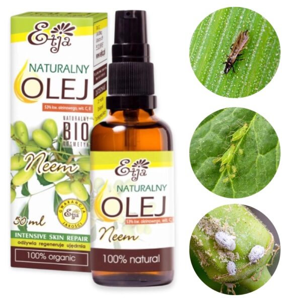 Olej Neem z miodoli indyjskiej 50ml - Etja