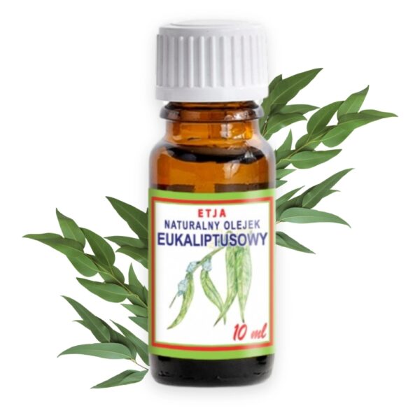 Olejek eukaliptusowy 10ml - Etja
