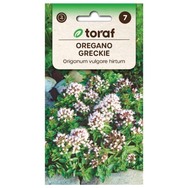 Oregano greckie nasiona 0