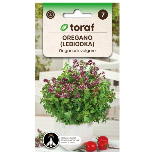 Oregano nasiona 0