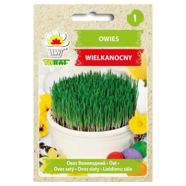 Owies Wielkanocny nasiona 30g - TORAF