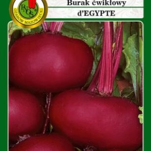 PNOS Burak ćwikłowy D'Egypte 100g