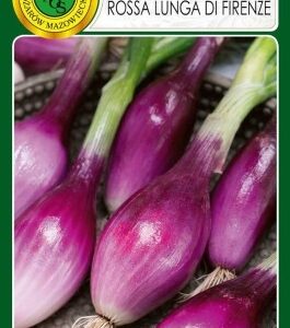 PNOS Cebula Rossa Lunga di Firenze 1g