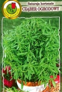 PNOS Cząber Ogrodowy 1 g