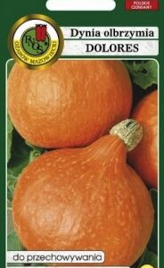 PNOS Dynia Dolores typu Hokkaido 5g