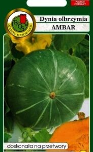 PNOS Dynia olbrzymia AMBAR 100 g