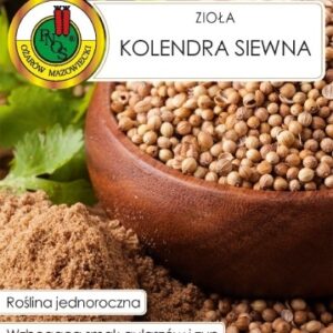 PNOS Kolendra siewna 3g